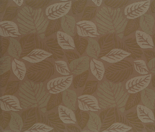 Summer Leaves